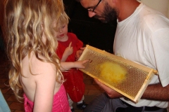 Honig machen beim Bienenjan