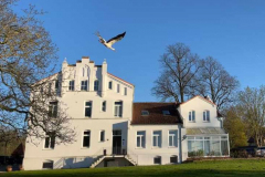 Gutshaus mit Storch