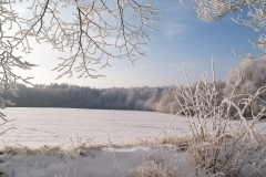 Im Winter