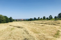 Umgebung