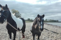 Siva und Vasily am Strand